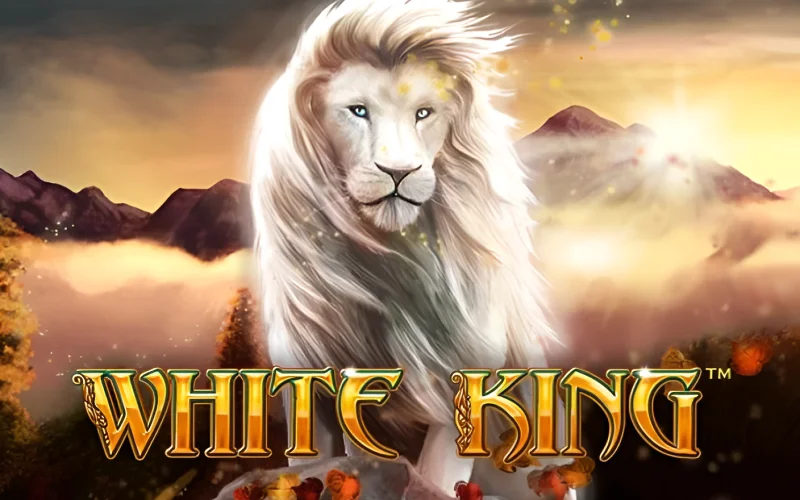 Jogo de mina