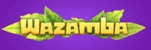Dozenspins.com